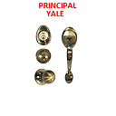 [CERR-300] CERRAD. YALE PRINCIPAL LAT/ANT +